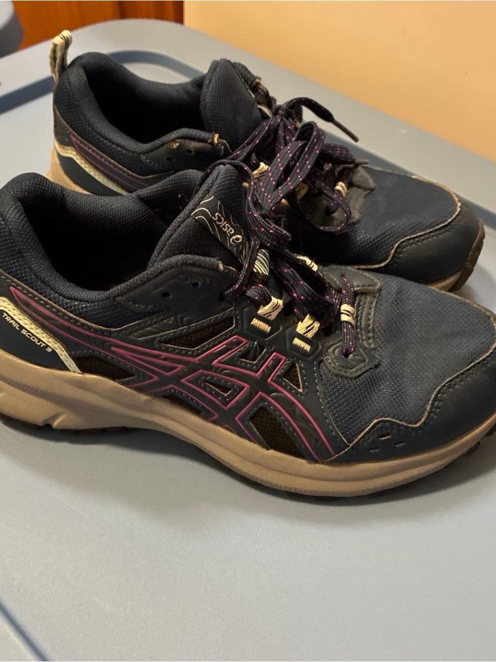 ASICS Women's Navy and Purple Running Shoes